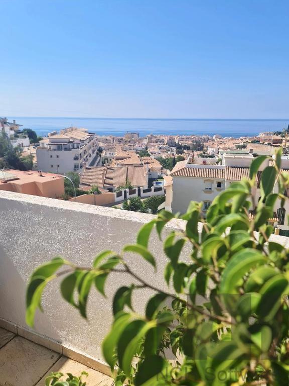 Blue Jasmine * La Cala Del Moral